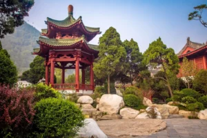 61b8ae4233e233ce39a37c7d41f68467-300x200